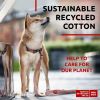 Recycled Cotton Dog Leash 10 Ft Eco Friendly Collar for Small Medium Large Dogs Reflective Dog Leash Strong Leashes for Large Breed Dogs Puppy Leash