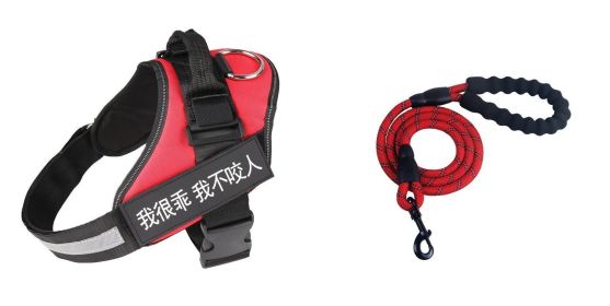 Fashion Simple Pet Leash Chest Strap Set (Option: Red-XS)