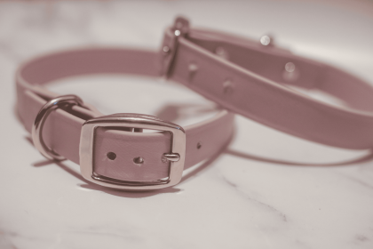 Biothane Buckle Dog Collar (Color: Pink, size: XSmall 10-12 inches)