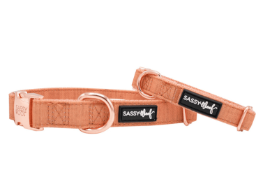 COLLAR (Color: Orange, size: medium)