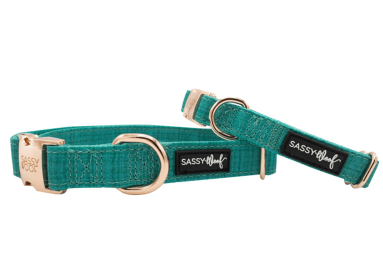 COLLAR (Color: Green, size: medium)