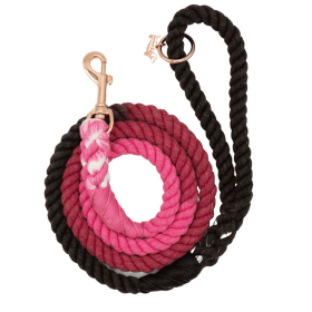 Rope Leash (Color: Multi, size: 5 feet)