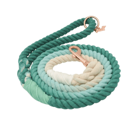 Rope Leash (Color: Multi, size: 5 feet)