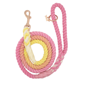 Rope Leash (Color: Multi, size: 5 feet)