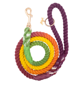 Rope Leash (Color: Multi, size: 5 feet)