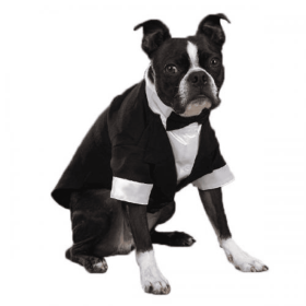 East Side Coll Yappily Ever After Groom Tux (Color: White, size: small)