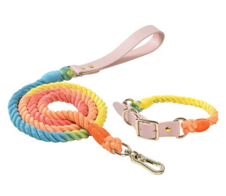 Luxe Royal Leather Rope Leash and Collar Set (Collar Size: M, Option: Rainbow)