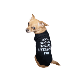 Anti Social Social Distancing Pup (Color: Black, size: X Large)