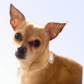 Silver Rectangle Burst Stone (size: X Large)