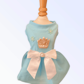 Snow Queen Dress (size: small)