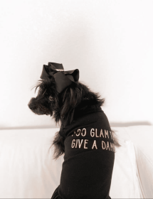 Too Glam to Give a Damn (size: medium)