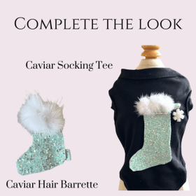 Caviar Stocking Tee- Dog Shirt (size: XS)