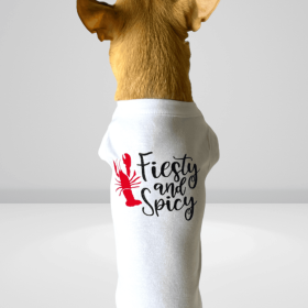 Feisty & Spicy Dog Tee (size: 2XL)