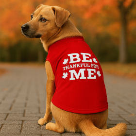 Be Thankful for Me Classic Tee (size: XL)