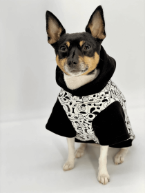 DCNY: Iconic "Pup Art" Designer Dog Hoodie (size: MD)