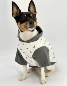 DCNY Wag And Bone Colorblock Hoodie (size: XXS)
