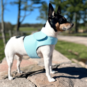 DCNY Harness Vest (Option: Aqua, size: XXS)