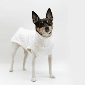 DCNY Mock Neck Sleeveless Sweater Tank (Option: Ivory, size: MD)