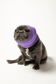PET HOODZ DOG HOODIES FOR ANXIETY (Color: Lavender, size: small)