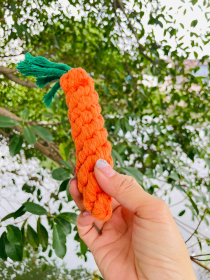 Handmade Sustainable Carrot Rope Chew Toy For little Pet (Option: CSCORD183)
