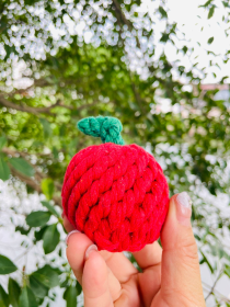 Handmade Sustainable Fuji Apple Rope Chew Toy For Puppies (Option: CSCORD215)