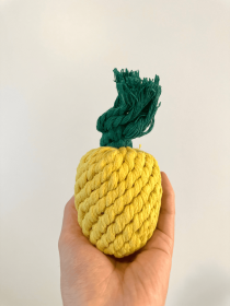 Handmade Sustainable Pineapple Rope Toys (Option: CSCORD246)