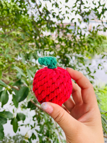 Handmade Sustainable Strawberry Rope Chew Toy For Puppies (Option: CSCORD270)