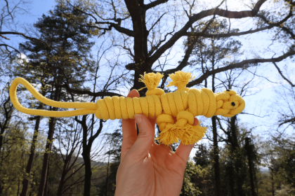 Sustainable Rope Lizard Dog Toy, Dog Rope Toys For Puppies (Option: CSCORD361)