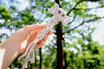Eco-Ele Dog Handmade Rope Toy, Plush, Squeaky and Tug of War (Style: CSCORD65)
