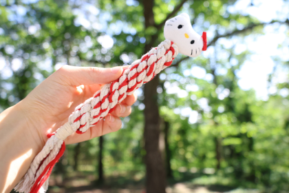 Eco-Kitty Dog Rope Plush Squeaky Toy for Puppies (Style: CSCORD99)