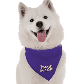 Meow I'm a Cat (size: 22" x 22")