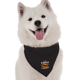 The Coolest Pumpkin (size: 14" x 14")