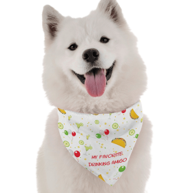 My Favorite Drinking Amigo (size: 14" x 14")