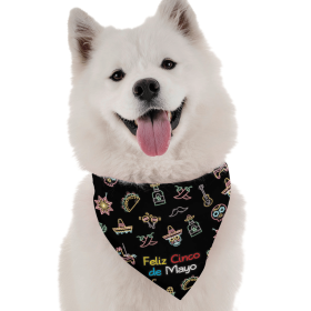 Feliz Cinco de Mayo (size: 18" x 18")