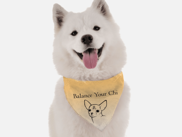 Balance Your Chi (size: 18" x 18")