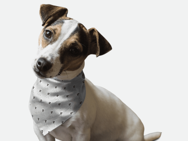 Ghosts Galore! (size: 14" x 14")