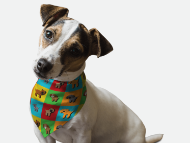 Park Snazzenue (size: 18" x 18")