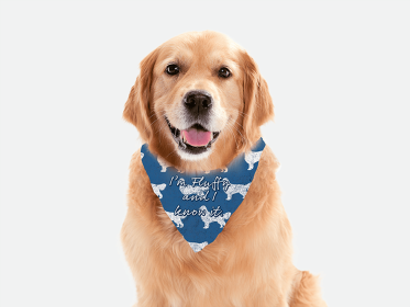 Face Time (size: 22" x 22")