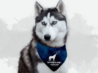 Derp! (size: 22" x 22")