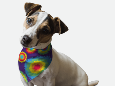 1970's Retro Style (size: 22" x 22")