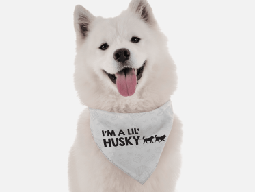 I'm a lil' Husky (size: 22" x 22")