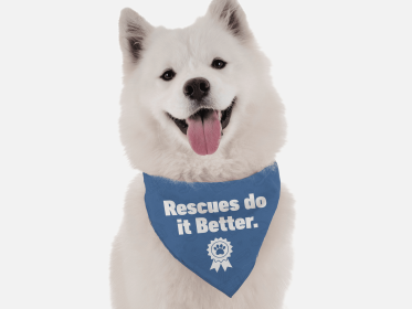 Rescues Do it Better (size: 14" x 14")