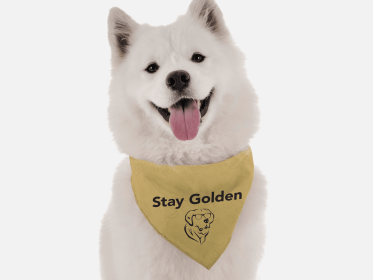 Stay Golden (size: 14" x 14")