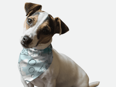 Tasty Treats (size: 14" x 14")