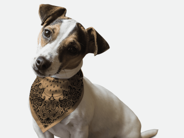 Sand Paisley (size: 14" x 14")