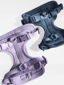 Dog Harness (size: MediumStyleGreen)