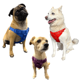 Step In Dog Harness (size: MediumStyleUbe)