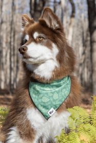 Pine Cone Pup Bandana (Style: Cloth Martingale, size: XL (14-23"))