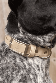 Champagne Fizz Vegan Leather Dog Collar (Style: Buckle, size: M (14-18"))