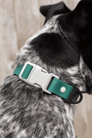 Siberian Spruce Waterproof Dog Collar (Style: Cloth Martingale, size: XL (14-23"))